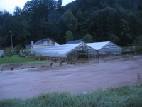 IMG_3680.JPG