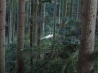 DSCF0221.JPG
