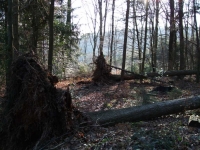 DSCF0266.JPG