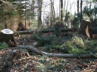 DSCF0344.JPG